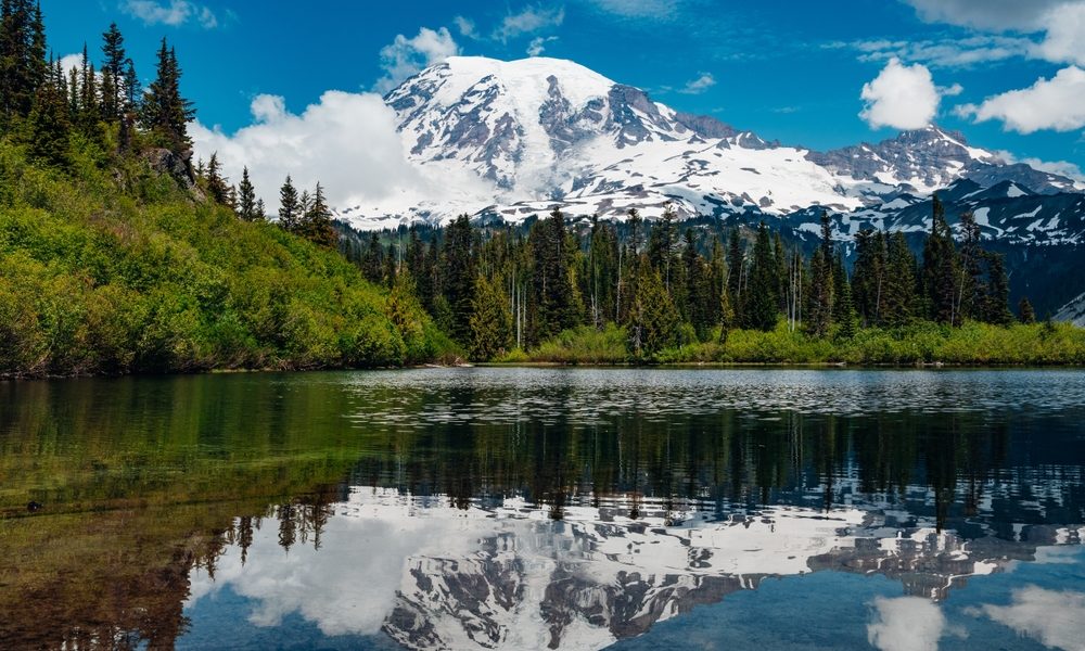 Mount,Rainier,Reflection,On,To,Bench,Lake