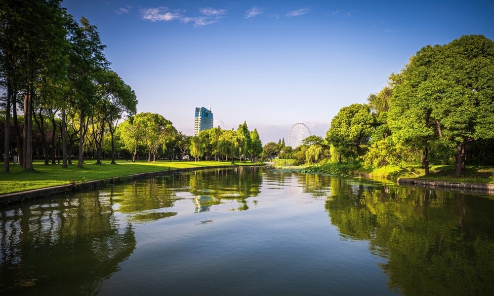 Green,Trees,Reflected,In,Small,Lake,In,Nice,City,Park